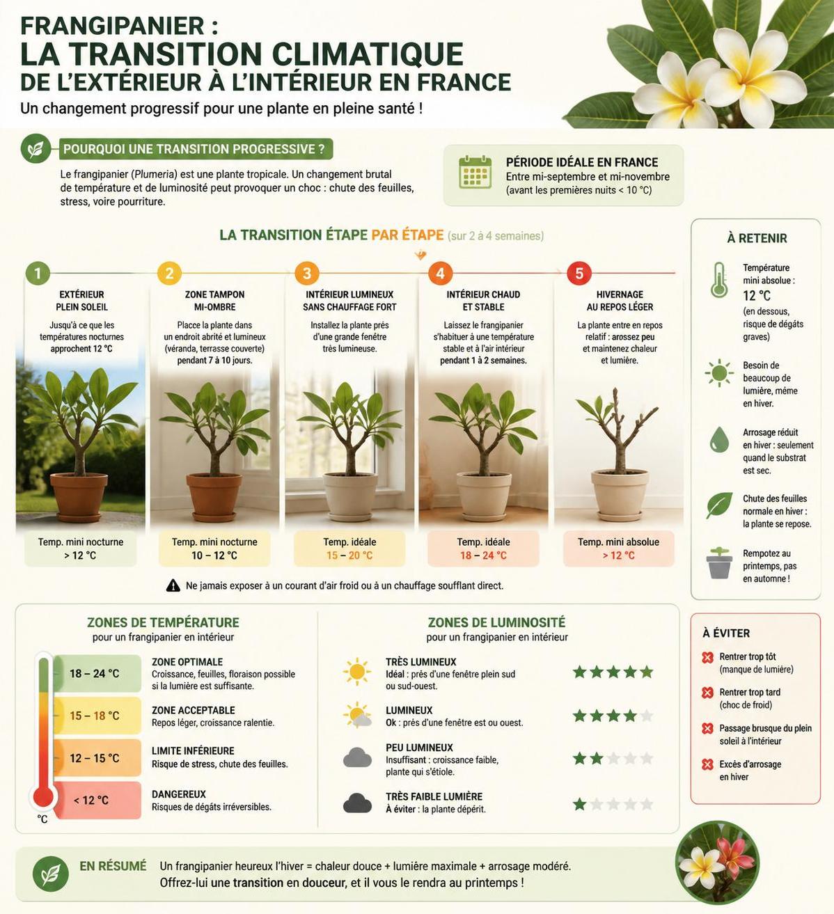 découvrez notre guide pratique pour réussir la culture du frangipanier en france, avec des conseils adaptés au climat et aux soins essentiels pour une plante saine et florissante.