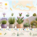 découvrez notre sélection de plantes de terrasse résistantes à la sécheresse, idéales pour embellir votre espace extérieur tout l'été 2026 en toute simplicité.
