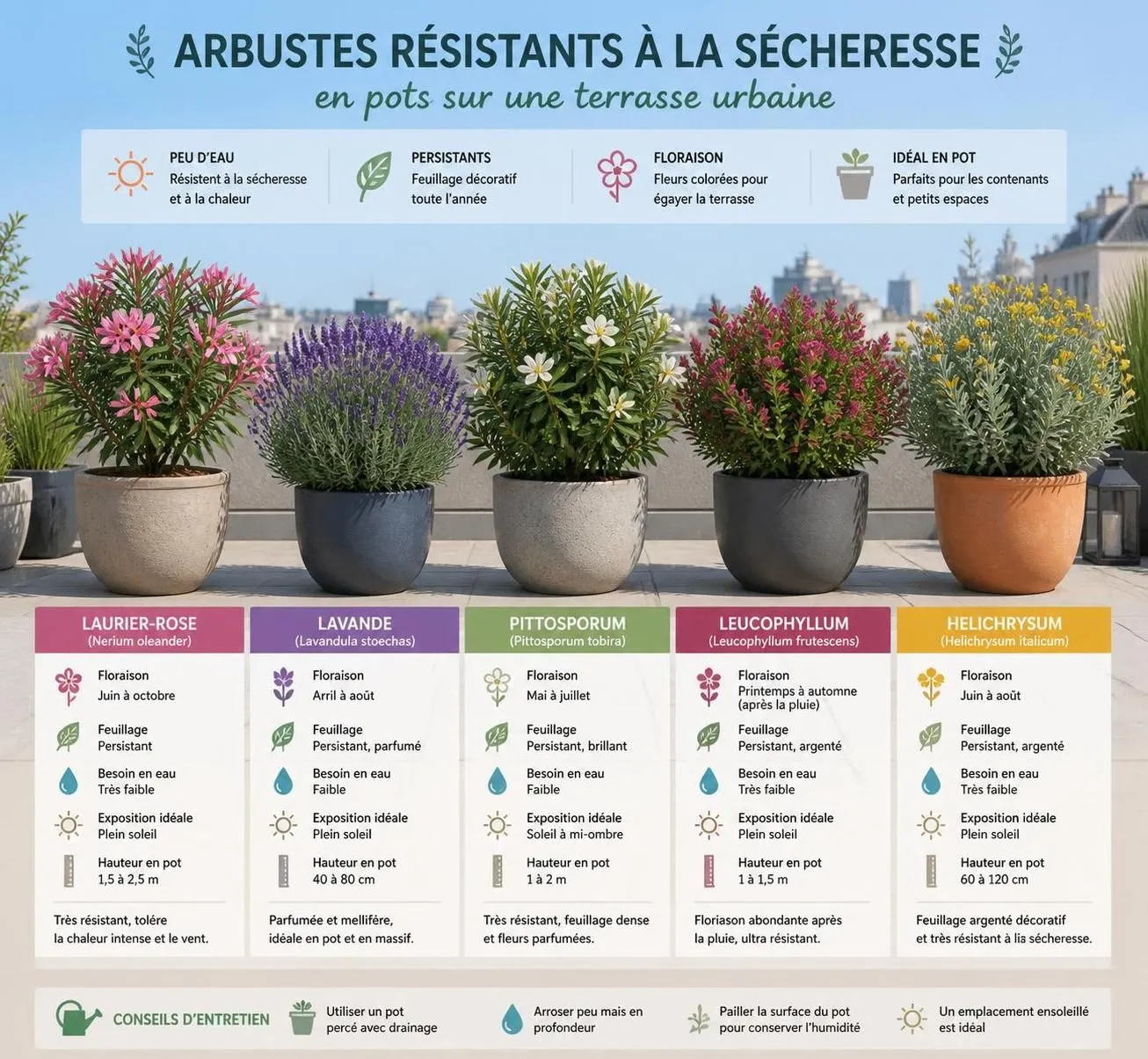 découvrez notre sélection de plantes de terrasse résistantes à la sécheresse, idéales pour embellir votre extérieur tout en économisant l'eau durant l'été 2026.
