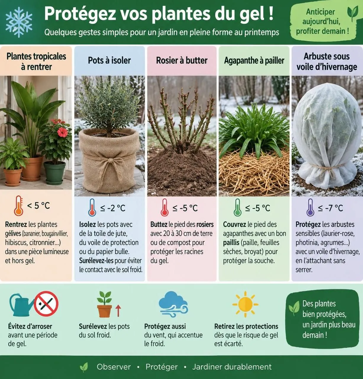 découvrez les gestes essentiels pour préparer votre jardin à l’hiver et protéger vos plantes avant les premières gelées.